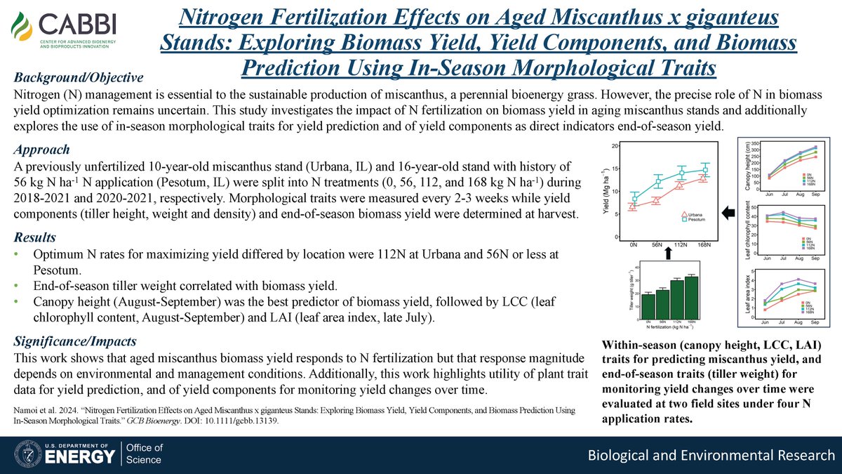A new #CABBI study at @UofIllinois finds that nitrogen fertilizer can improve yield with aged #miscanthus, but environmental and management decisions also play a key role in that production. Published in @GCB_Bioenergy: 📰 onlinelibrary.wiley.com/doi/full/10.11…