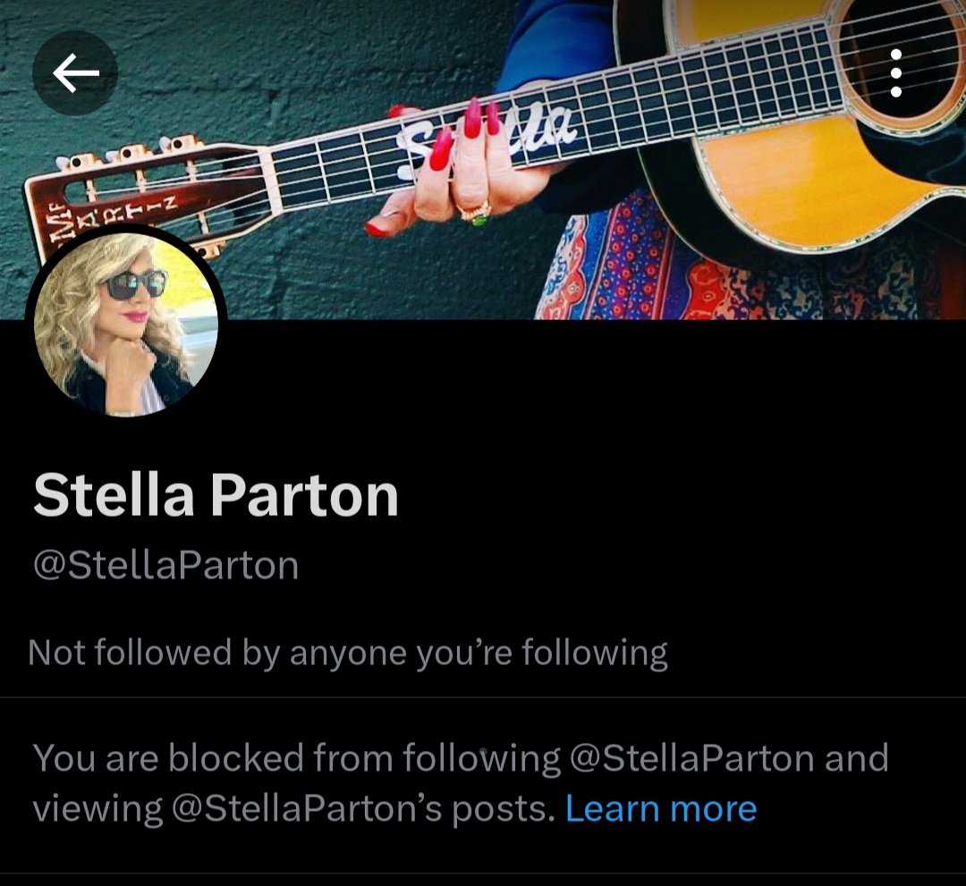 I don't know why @stellaparton blocked me. Unless she's one those right wingers using a parody account. Those people are just annoying.