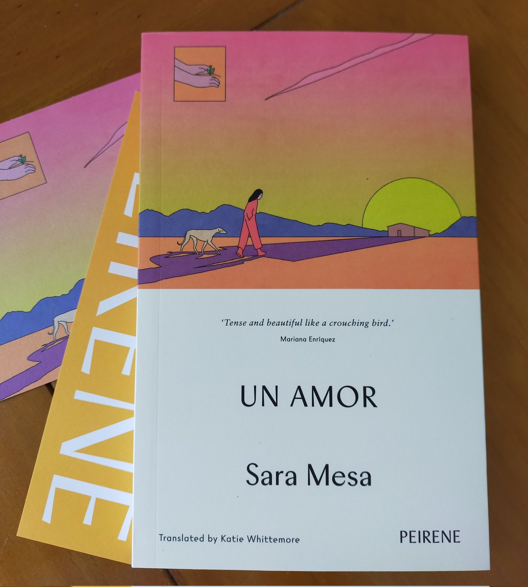 Excited to read the latest novel from Sara Mesa as I've been a fan for some time, especially as comes from @PeirenePress !