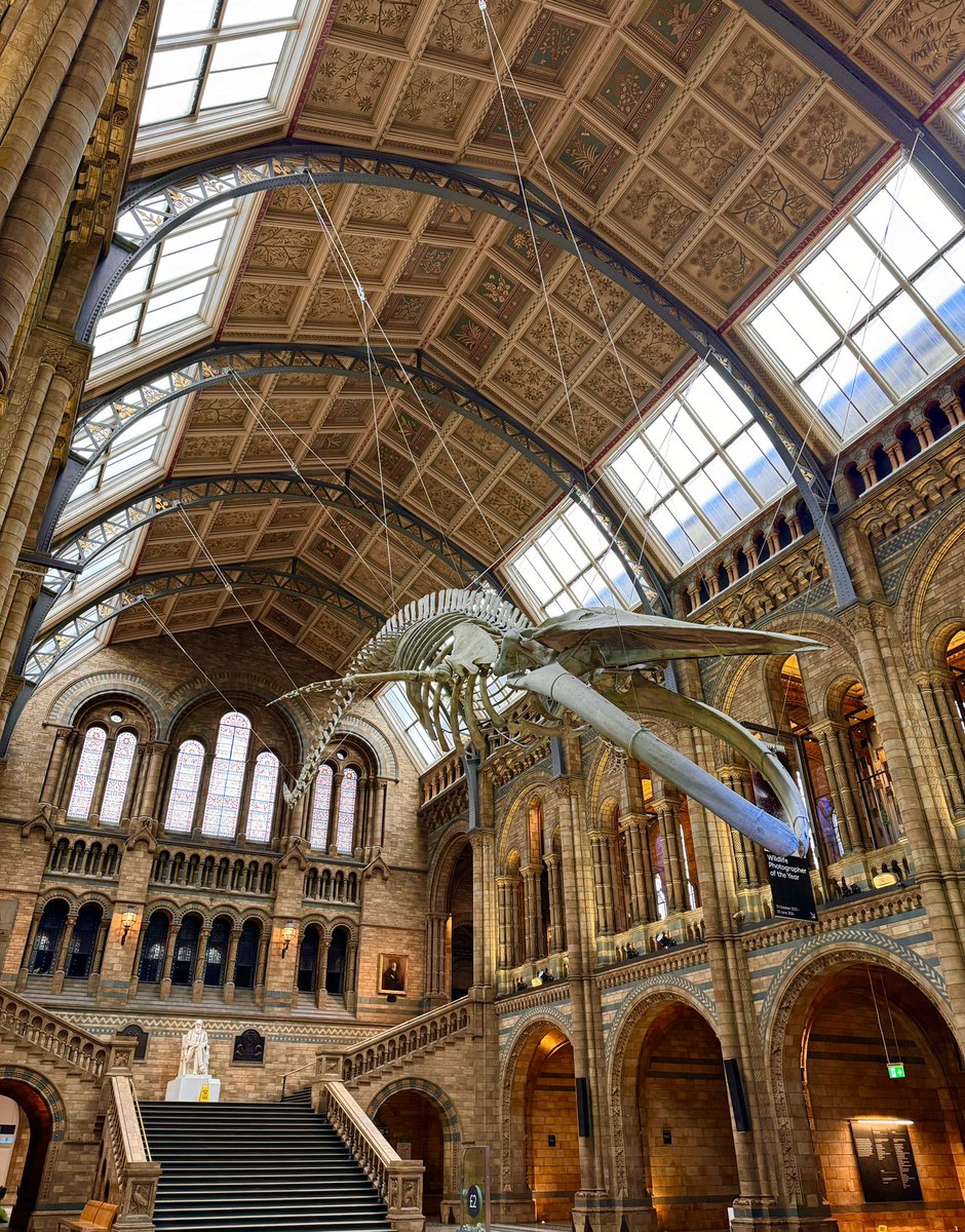 Empty @NHM_London 🏛️🐋