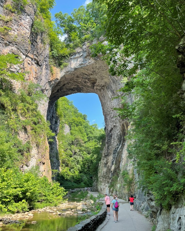 Lexington, Virginia and the Rockbridge Area Tourism Natural Bridge State Park has been named the Green Park of the Year by Virginia Green Travel Alliance! Their waste reduction program was a significant factor in winning the award.