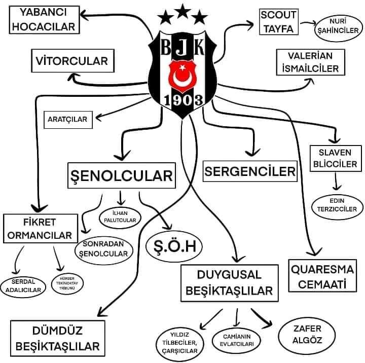 Beşiktaş taraftarının dağılımı ?

#şenolgüneş #besiktas