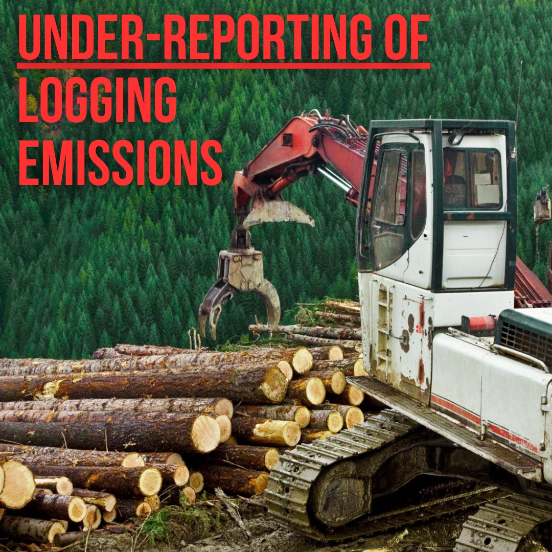 Today Nature Canada and seven other conservation groups called on the @UNFCCC expert review panel to address concern about the Fed's under-reporting of logging emissions in their review of Canada's climate plan. naturecanada.ca/wp-content/upl…