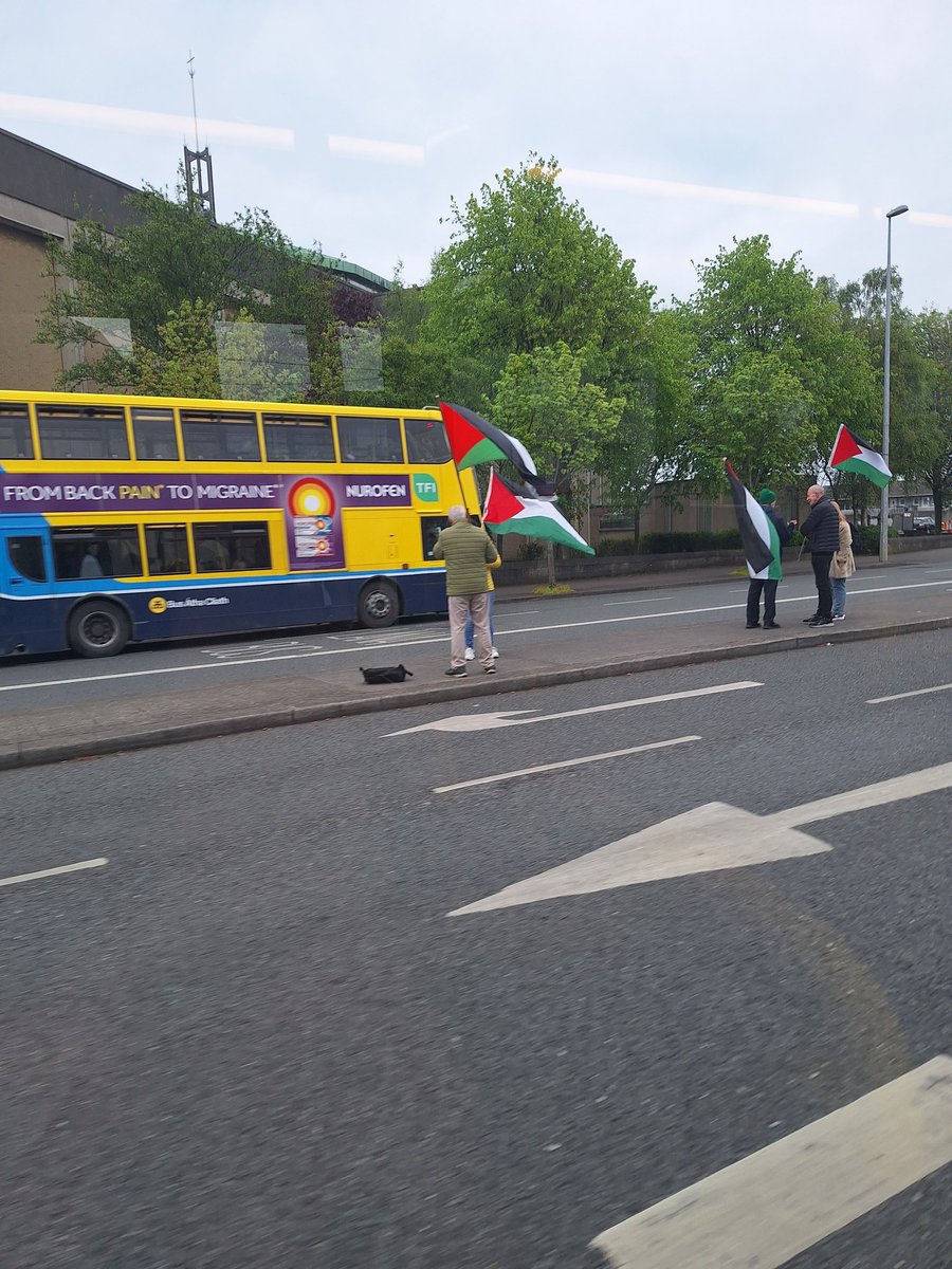 The fucking state of these kunts on the malahide road.
Fuck off to Palestine and protest you fuckwits.