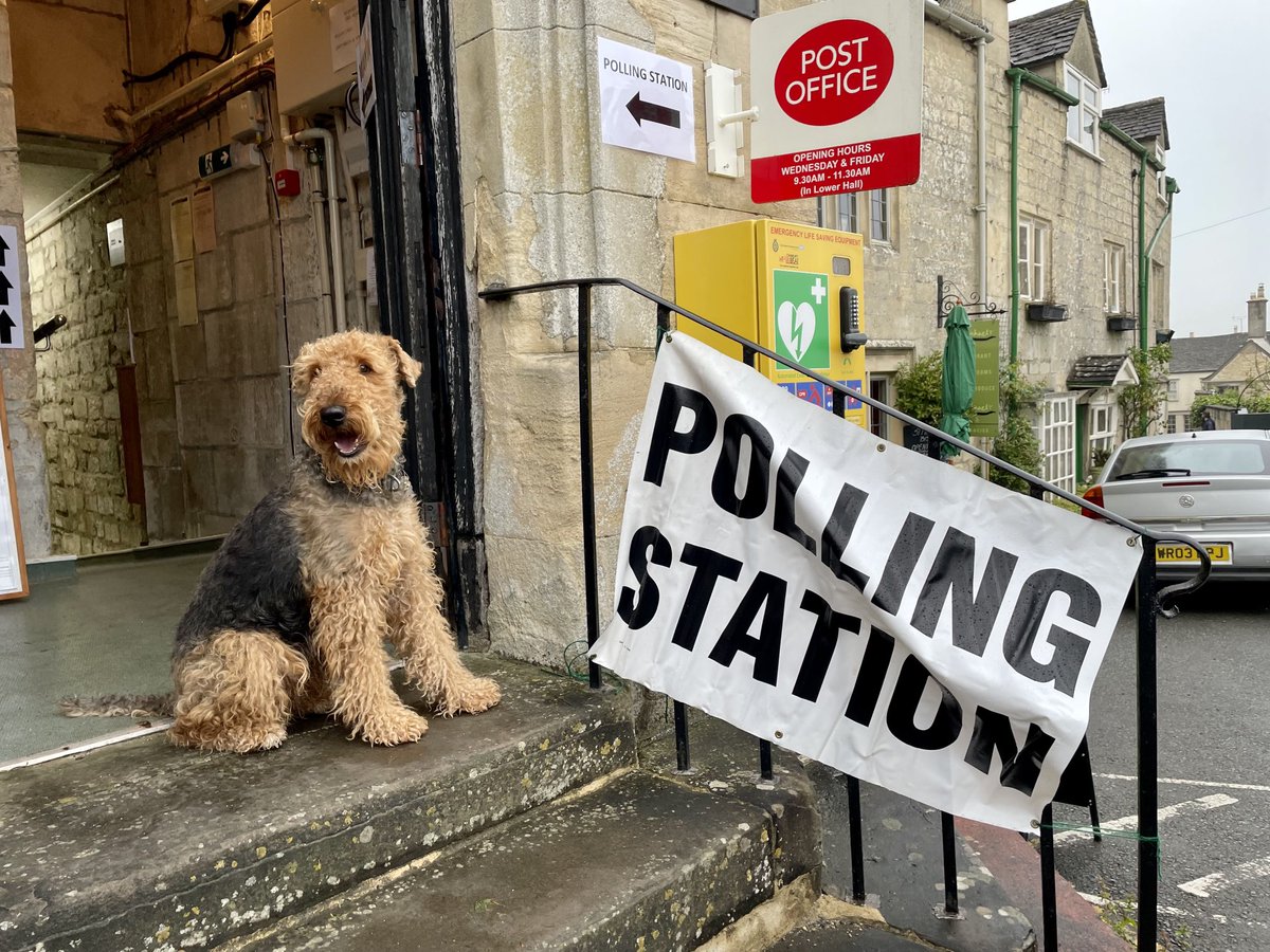 I’m voting for the ones that stand for extra biscuits and scritches on Fridays. Who’s with me? #dogsatpollingstations