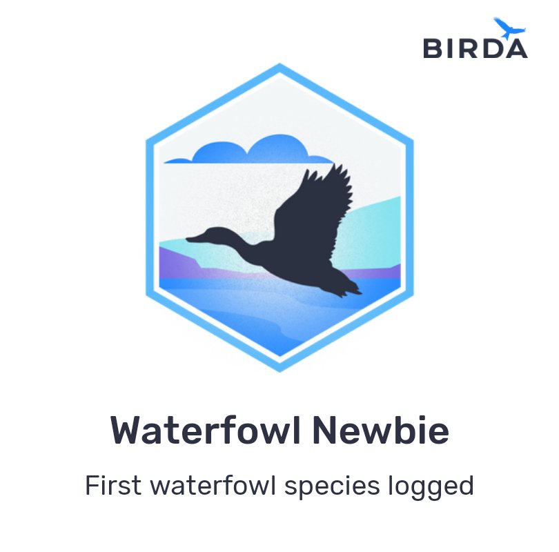 I've won the Waterfowl Newbie badge on @birda_org! #birds #birding #birdwatching