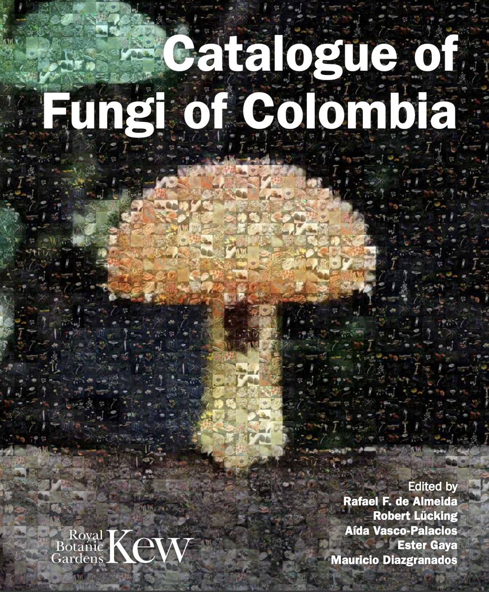 #LecturaRecomendada #EnInglés
📌 Catálogo de hongos de Colombia 
Fuente: @kewgardens @inst_humboldt (2022)

- Acceso gratuito @ResearchGate researchgate.net/publication/36…