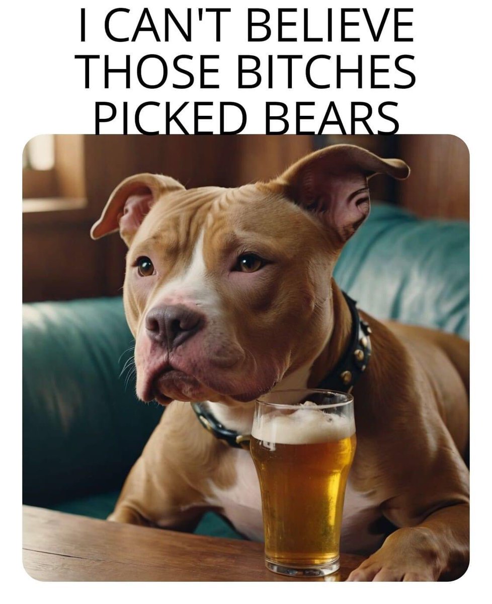 I can’t believe those bitches picked bears.  #KeepingItReal #FactsMatter #Fact #FactChecking #feminist #democRat #Pitbull #Pitbulls #Pittie #Pitties