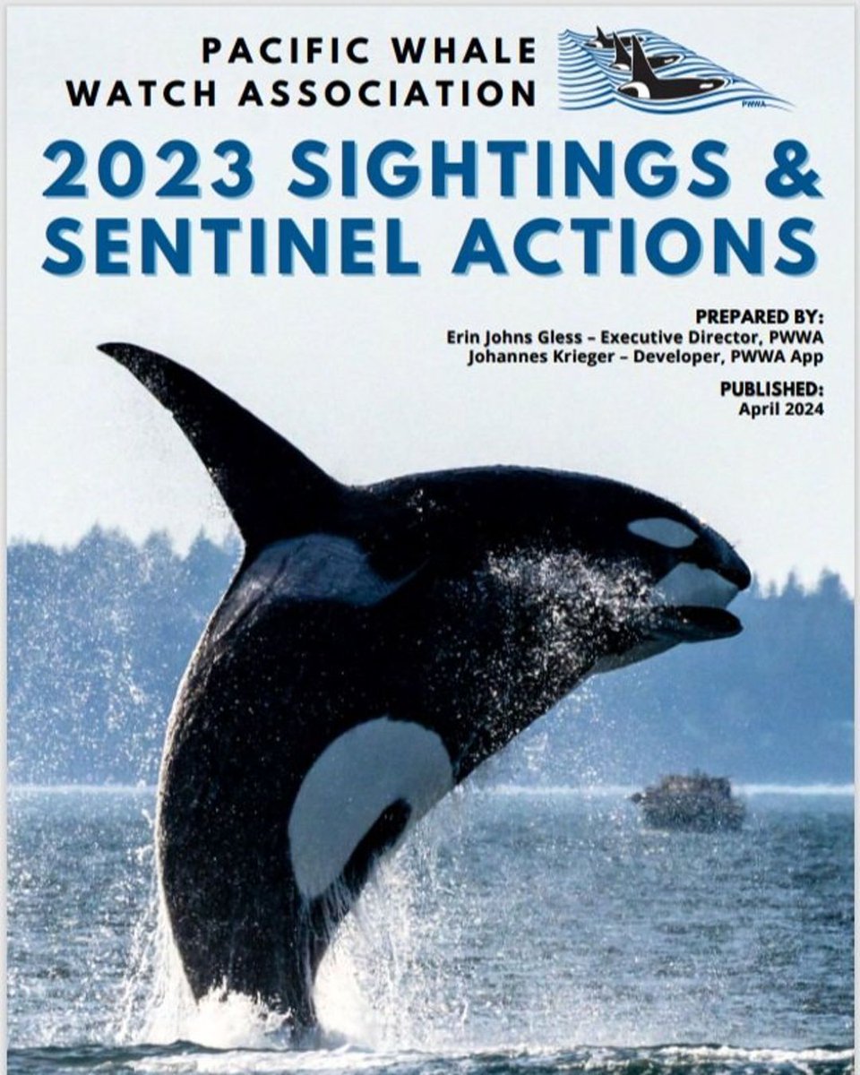 We loved having Erin from @thePWWA on our latest episode of the Whale Tales Podcast to talk about the association and the work it does in the Salish Sea. She also discusses the 2023 Sightings and Sentinel Actions Report. Give it a read!
buff.ly/3JERlQ0 
#WhaleTales