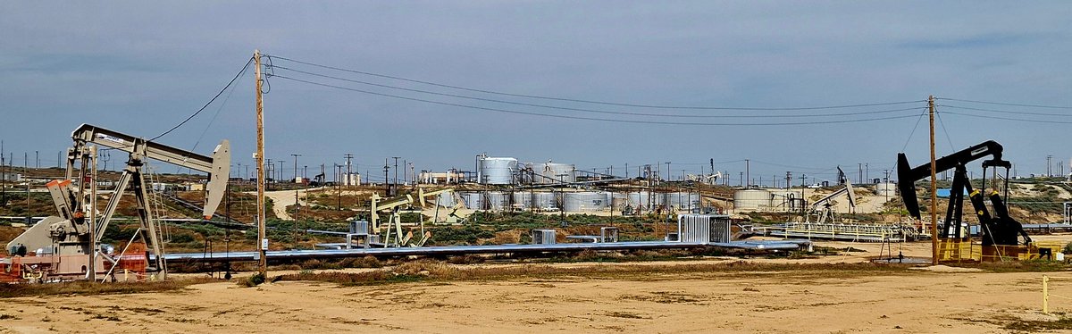 Amidst the huge fields of vines & orange trees in California, one comes across equally huge oil fields, populated by pipes & 'nodding Jenny' pumps.