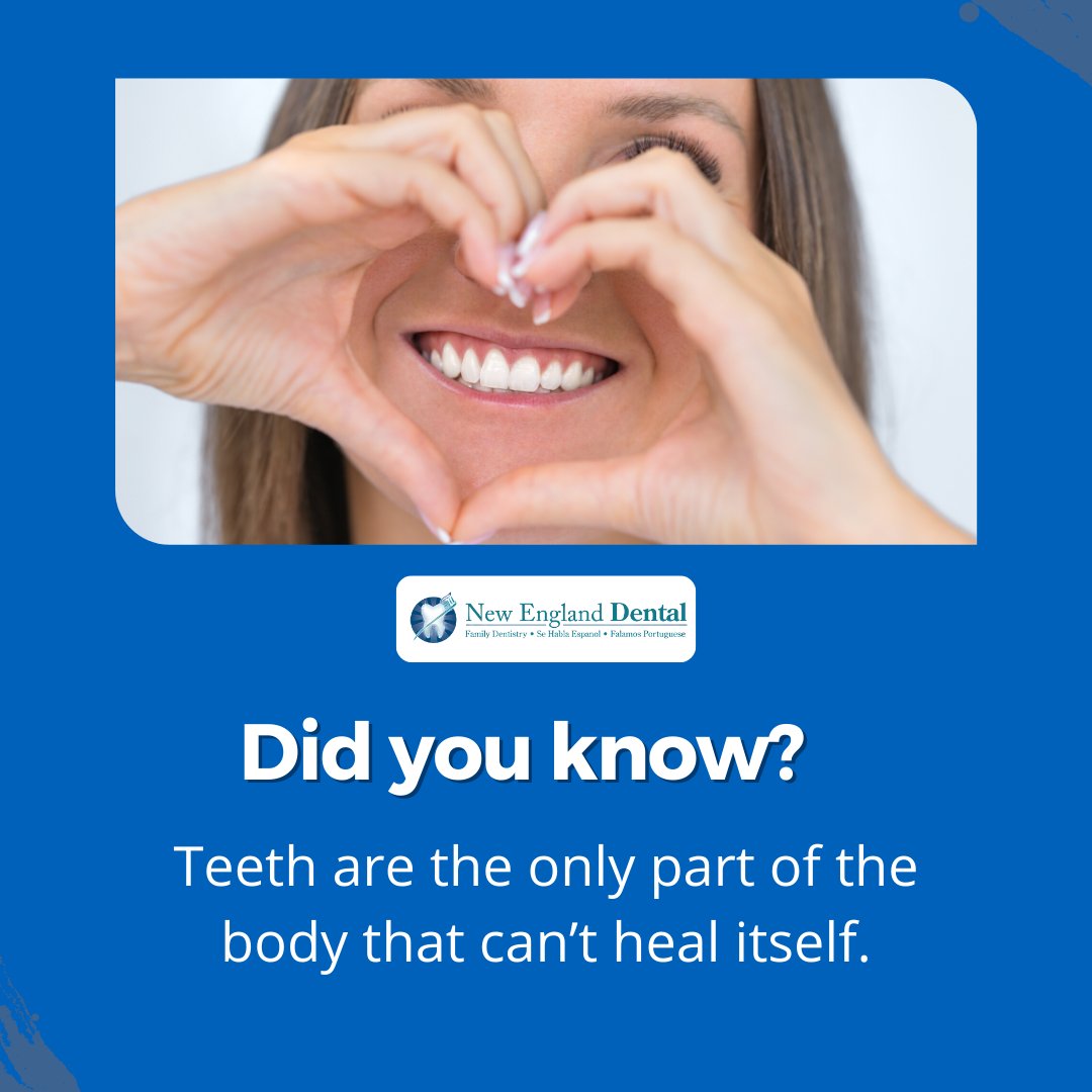 We all know that seeing your dentist and brushing your teeth regularly will keep your teeth healthy, but do you know these facts?

Get to know more: newenglanddentalllc.com

#veneers #dentist #teeth #whiteteeth #dentalcare #beauty #smilemakeover #cosmeticdentistry