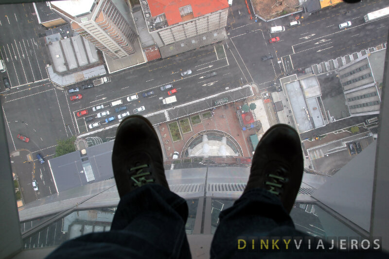 Subir a la Sky Tower de #Auckland es una #experiencia apta sólo para valientes… 🙈

dinkyviajeros.com/sky-tower-auck…

#NuevaZelanda #archivoDinky