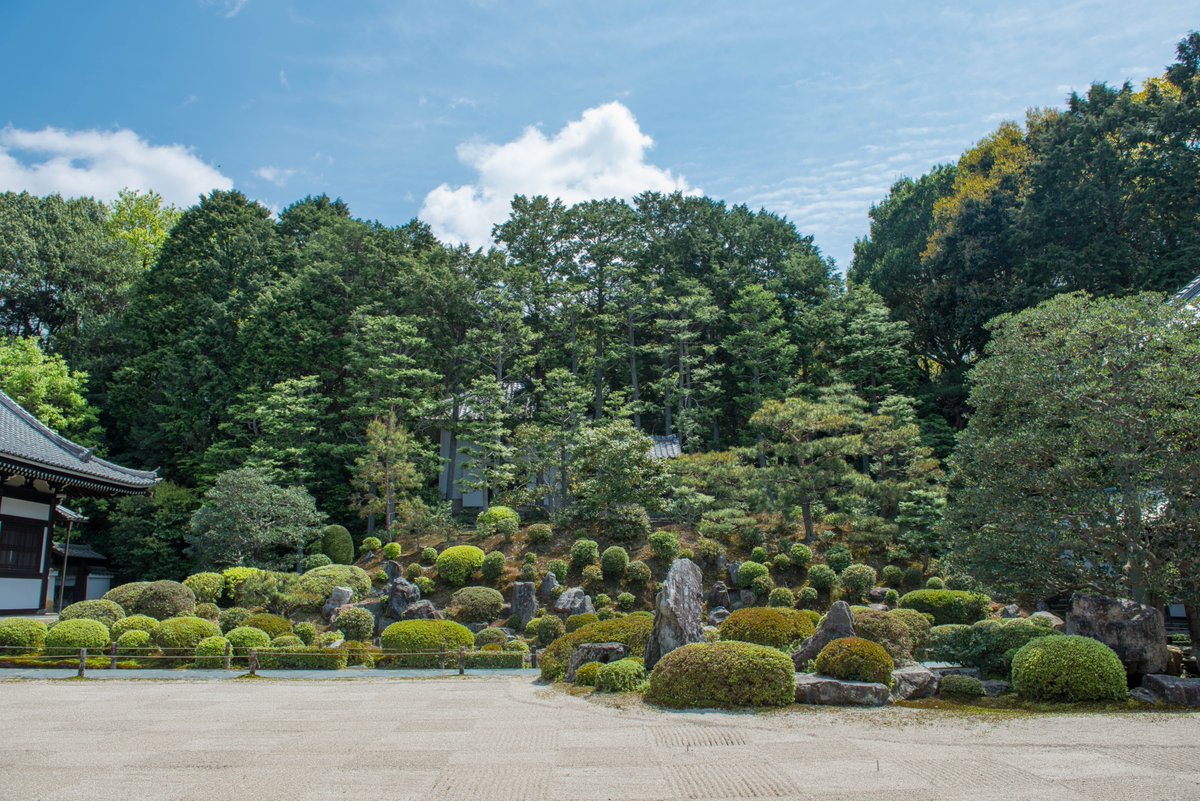 Visiting Kyoto is always a good idea.