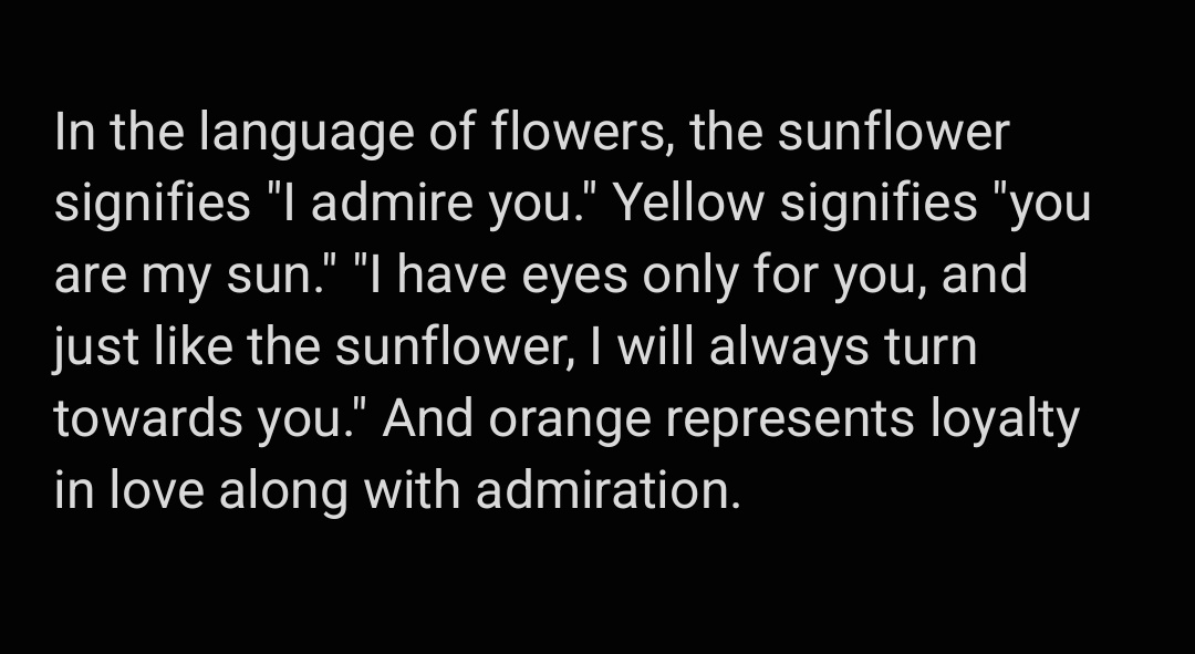 #LovelyRunner: Sun jae always waited with sunflowers🌻for sol, but knowing that searching for the meaning of this is even more painful😭It symbolizes his love, devotion, and loyalty. The sunflower symbolizes the sun and light (Im Sol, his sun and his light), this is heartbreaking