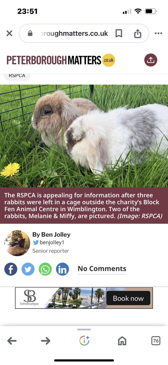 Breaking news tonight from @PboroughMatters  - and 16 miles away in Wimblington - is the tale of 3 rabbits left outside @RSPCA_official centre. No one at #Newsquest owned @PboroughMatters seemingly aware of city council elections today.