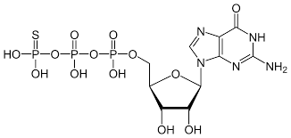 Andrew White 🐦‍⬛ tweet media