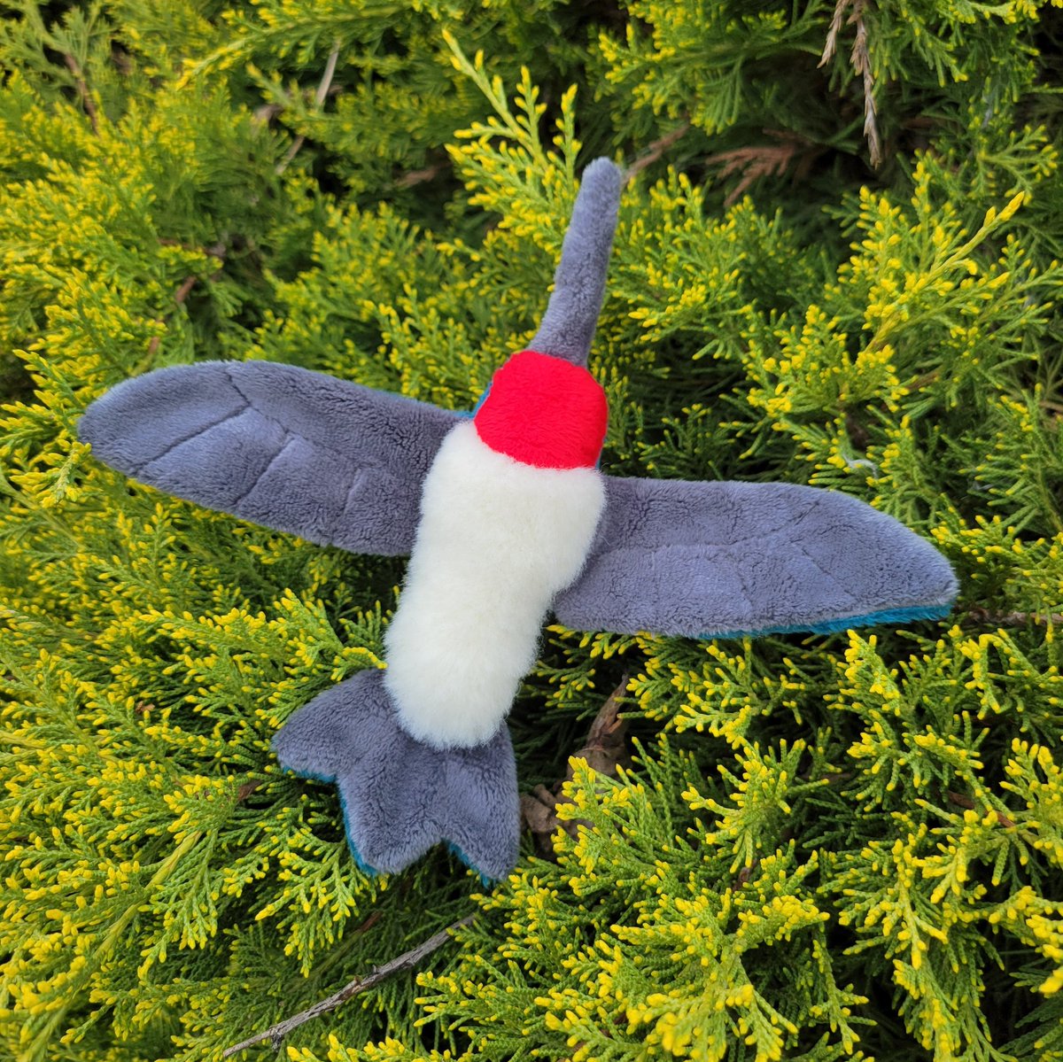 This is Buzzy the Hummingbird! A small beanie plush I made as a gift for my Mom 🍃