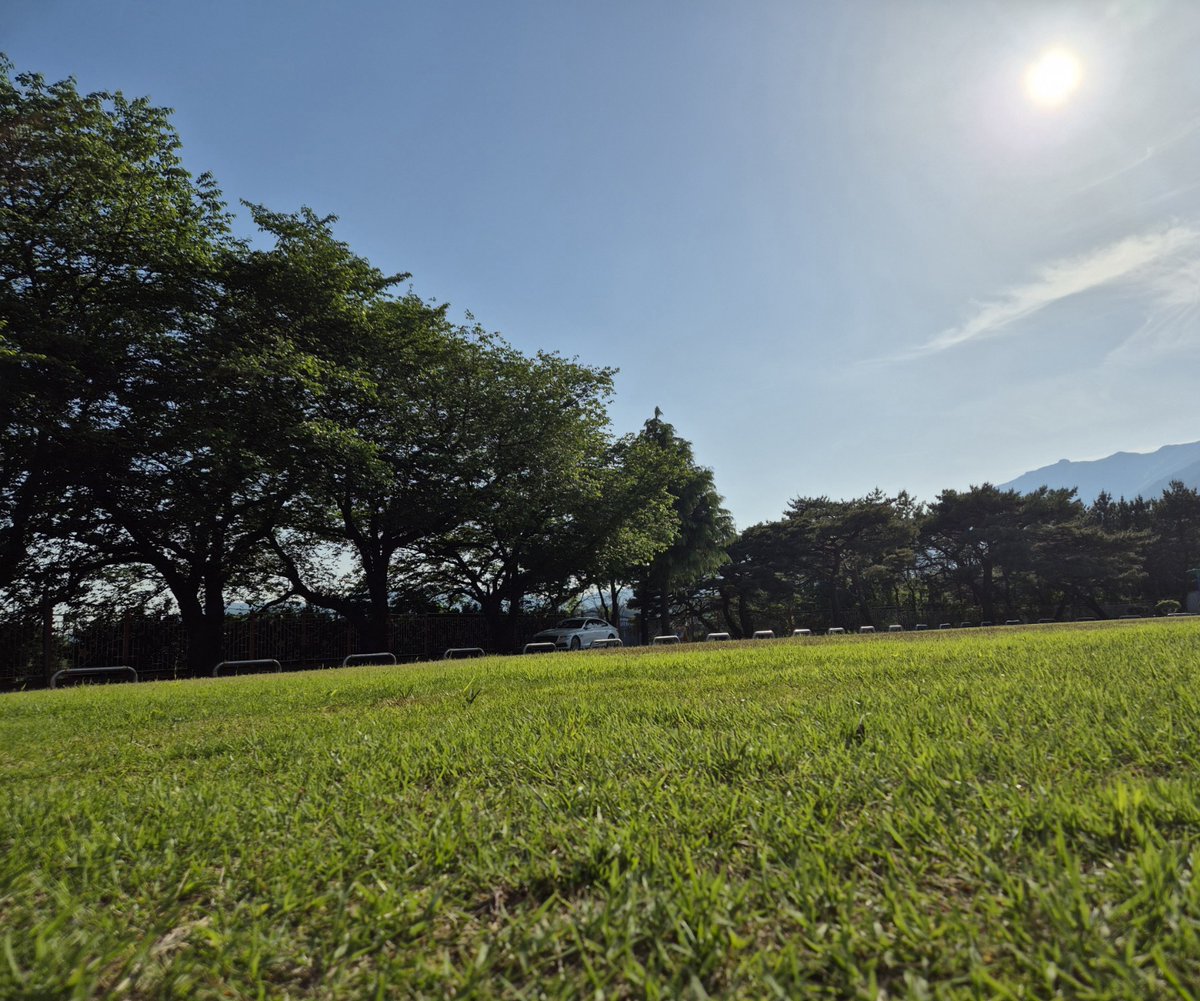 Dear grass, grow up well.
'touch grass!' 🌱

#TouchGrassChallenge