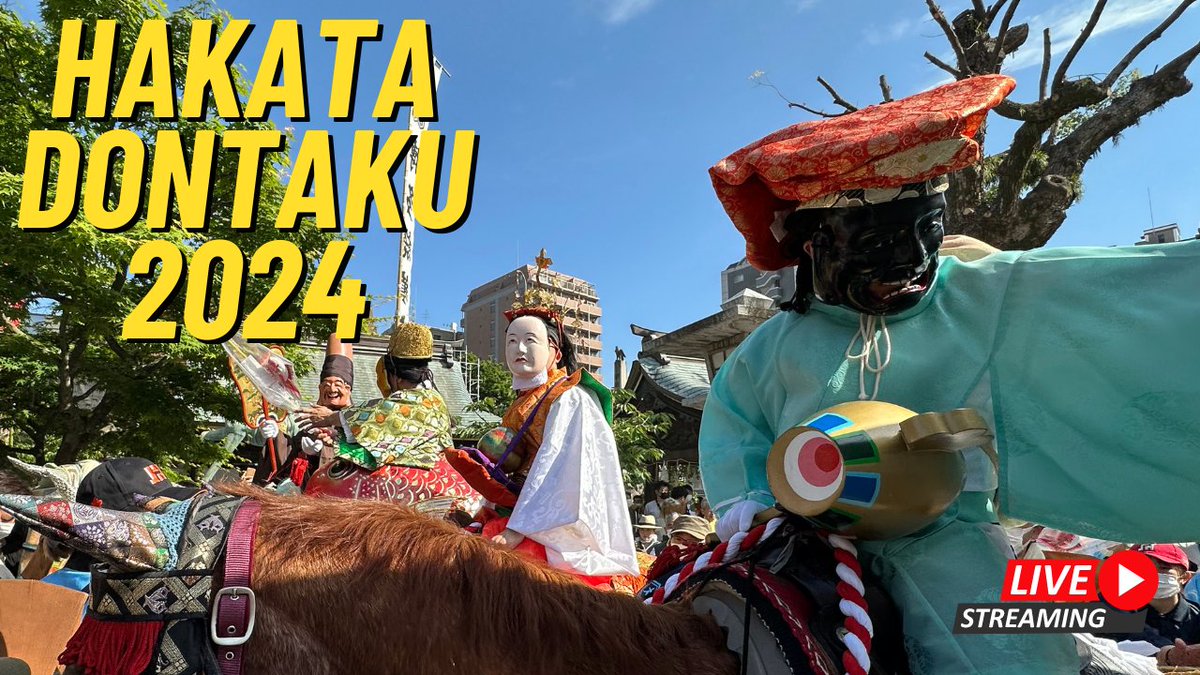 The Hakata Dontaku festival is ON! Join us from 8:45am today, May 3 as we follow the Matsubayashi parade - on #kyushulive YouTube #dontaku #matsubayashi #hakatadontaku #fukuoka youtube.com/live/cSrucnemf…