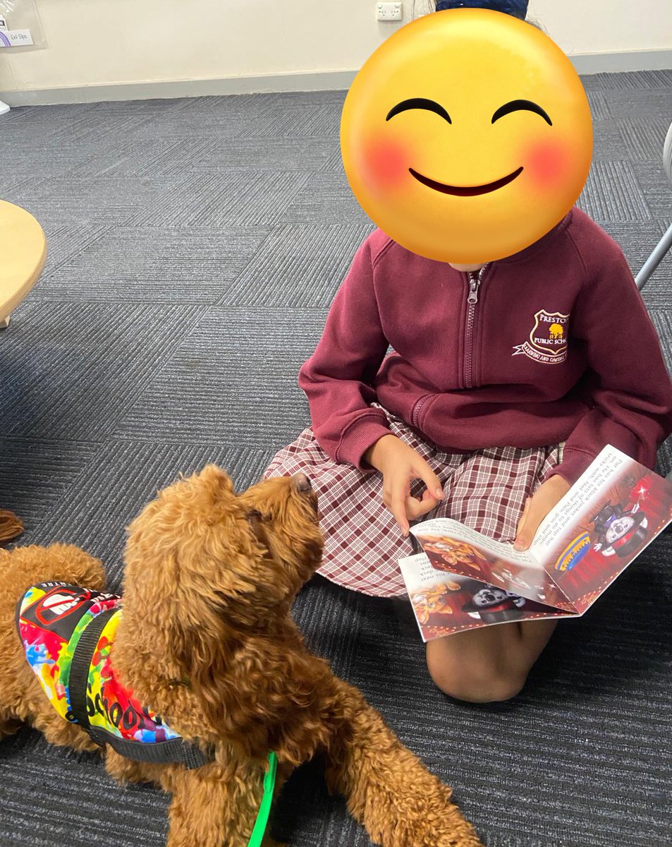 “And then what happens?” Wasabi can’t wait to hear the ending of this book!  🐶📚❤️
#Wasabi #schooldog #dogsofeducation #reading #training #lovewhatwedo