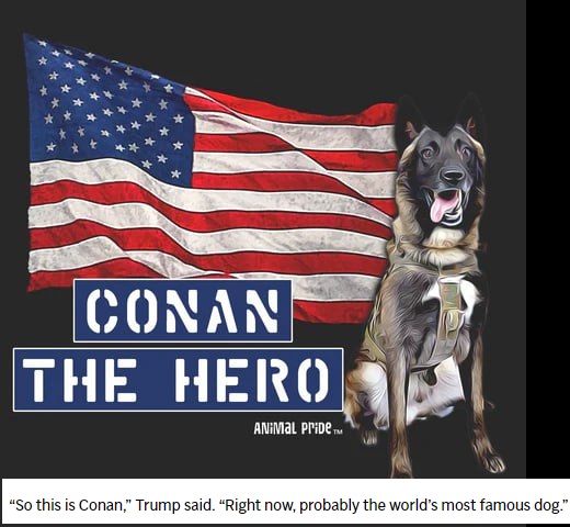 Conan The Hero tweet media