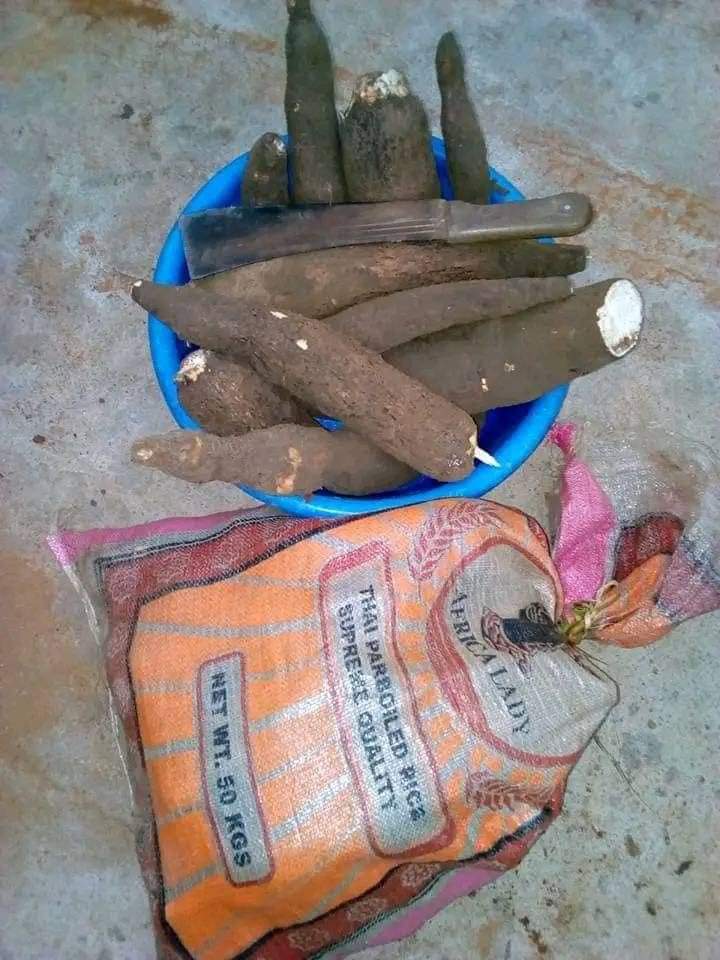 #Nollywood star #Livinus_Nnochiri, said I don't only depend on film making to make a living I do farm work I and my wife went to farm today to harvest cassava!

Get a farm today and harvest big tomorrow.
#IPOB 
#Biafra 
#FreeBiafra 
#EndNigeriaNowToSaveLives 
#FreeMaziNnamdiKanu