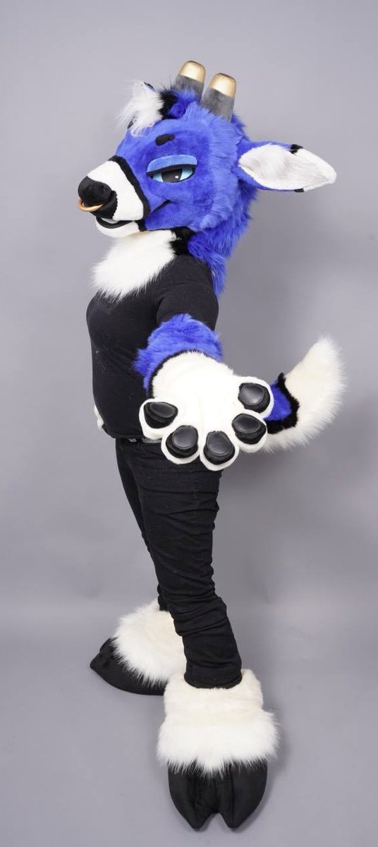 ThatsFurredUp tweet picture