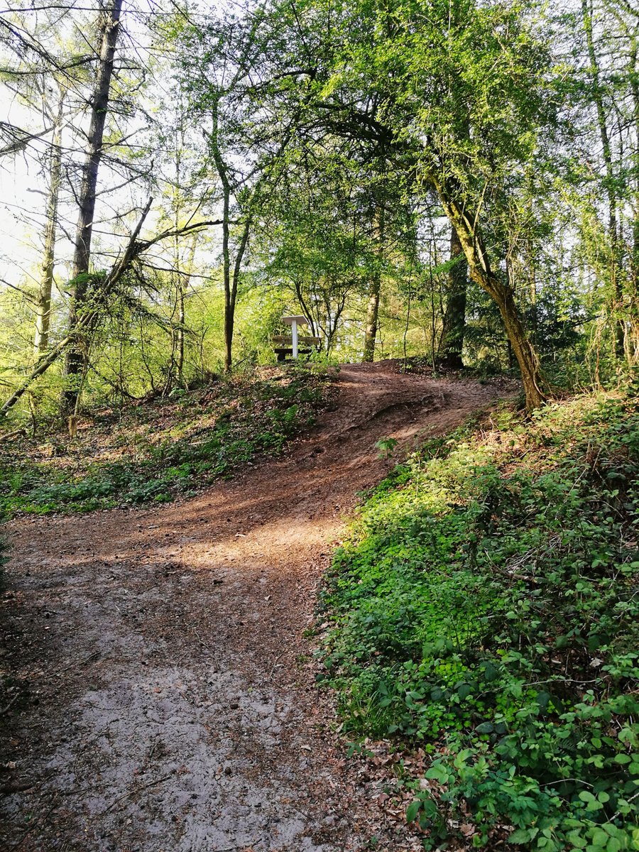 The so-called 'nuns' mound' of the former Barthe monastery from the Middle Ages in East Frisia.
#Photography #Germany #history #middleages #medieval