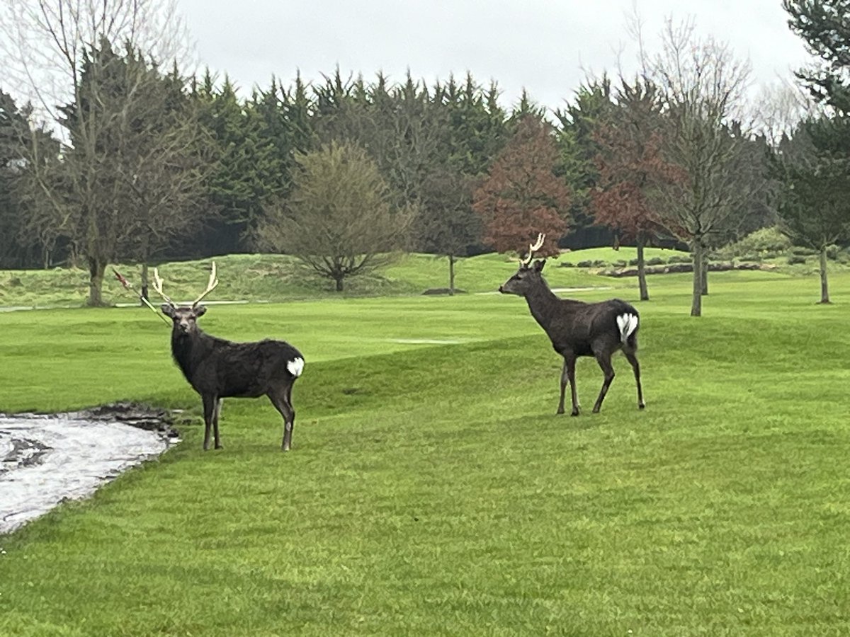 2 new Deere’s arrived on the course today @NaasGC particularly looking forward to working with the new technology on the sprayer. I would like to thanks Noel and @DublinGrass for the quality service and machinery. It’s so important courses invest in machinery. #turfpro’s☘️