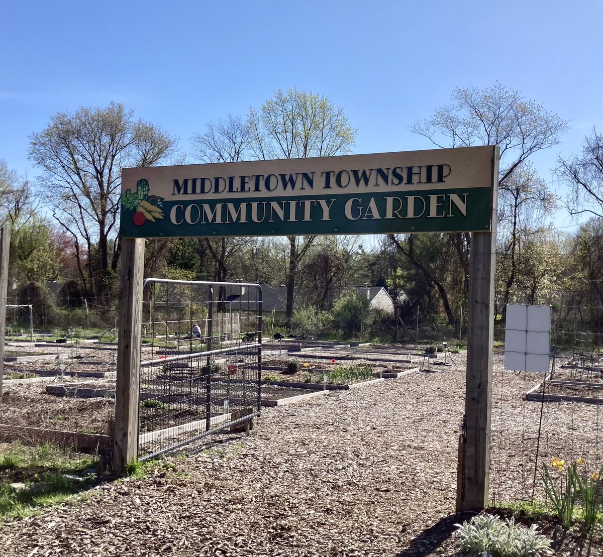 🧑‍🌾 The plots for the Middletown Township Community Garden's 2024 season are SOLD OUT! Please email your name, address, and phone number to communitygarden@middletownnj.org if you would like to be placed on a waiting list for 2025.
 
📸: Middletown Community Gardener Barbara Ely