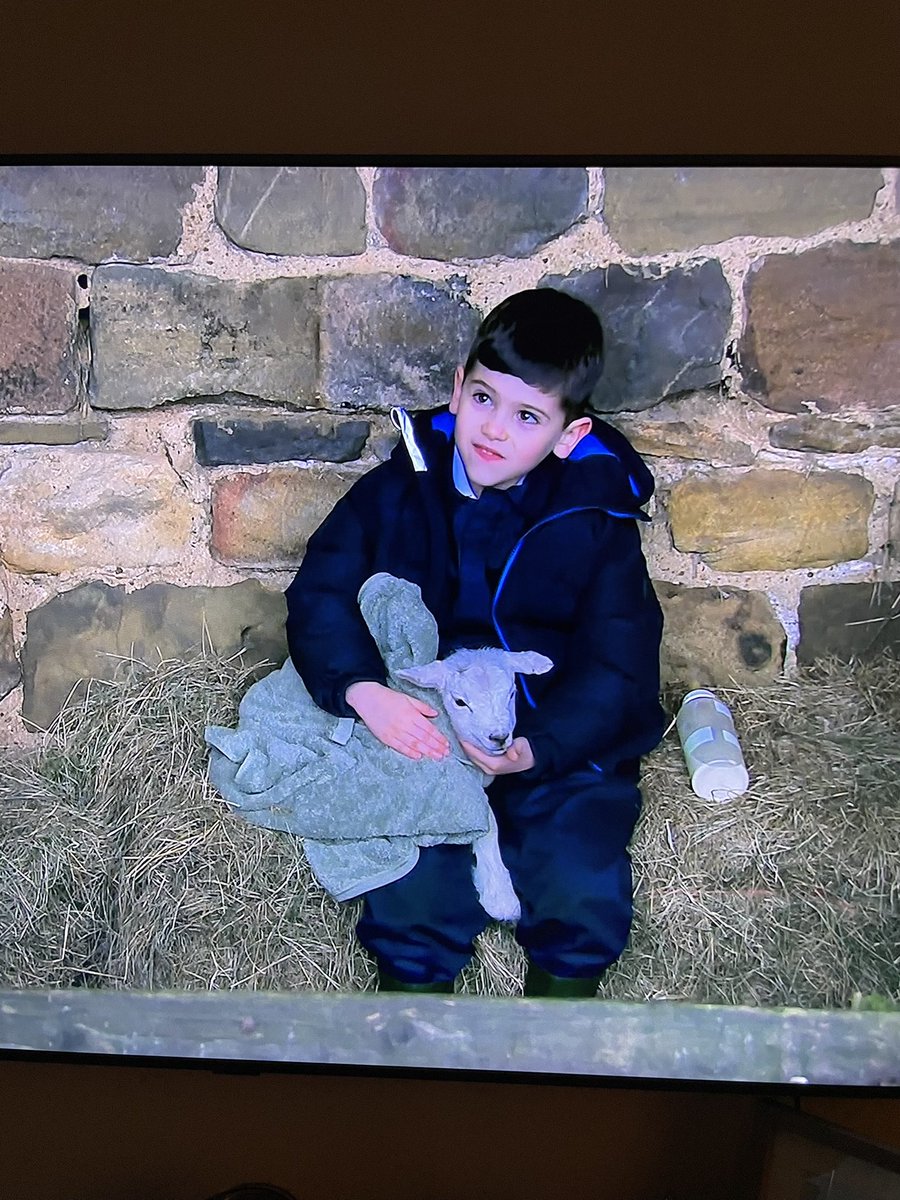 Behind the scenes ⭐️💙 He’s been loving filming these scenes with Minty the lamb from the last 2 episodes 🐑 proud parents 😍💙⭐️ #emmerdale #isaac #mintythelamb #dingle