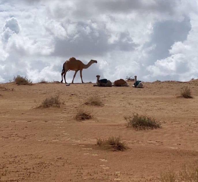 يالله بـ مزنً يلحقه جو صافي مثل الرجأ لا من غسل عجه اليأس..
