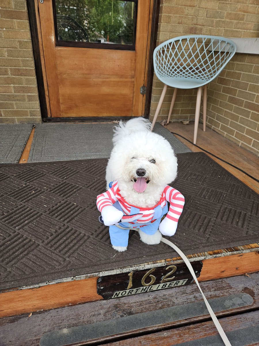 RothbardDavid's tweet image. Lou Lou says, "Keep that crazy b*tch in SD away from me!"