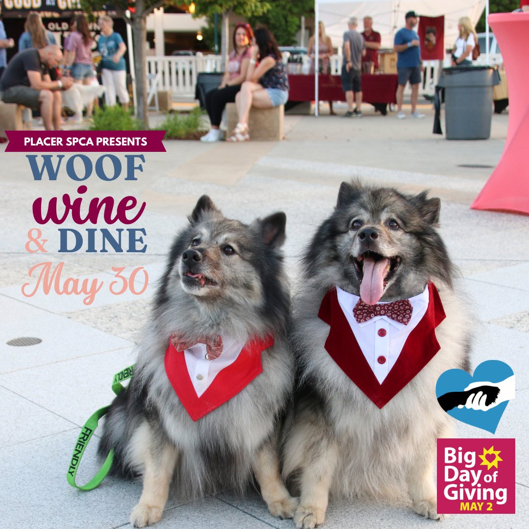 Placer SPCA tweet media