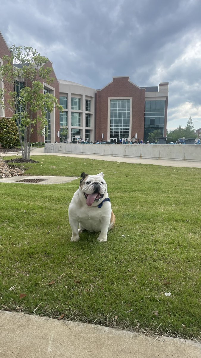 TechXXII's tweet image. Checking on the crawfish 🦞 and shrimp 🍤 for @LATechCOES  #SpringRelease #mascot