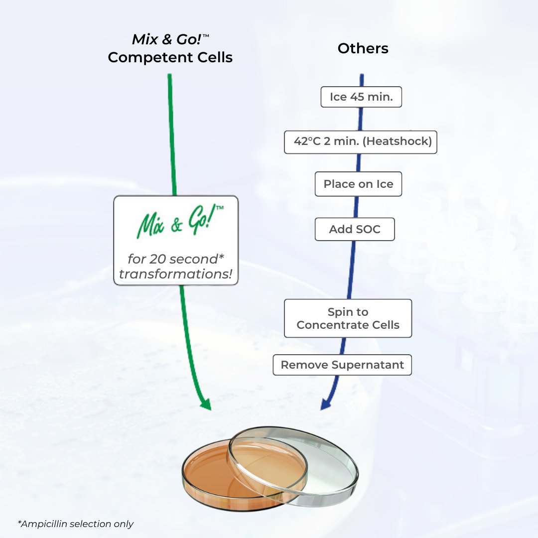 Complete bacterial transformations in 20 secs with technology that eliminates heat shock, incubations, and outgrowth procedures. Get 15% off Mix & Go! Competent Cells and Transformation Kits with code 'MIXGO15'. Explore our E. coli solutions: zymoresearch.com/pages/e-coli-l…