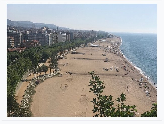 @jmm_888 Qui va ser el savi que va decidir construir el tren a la costa menjant-se la mar? 🤦🏼‍♀️