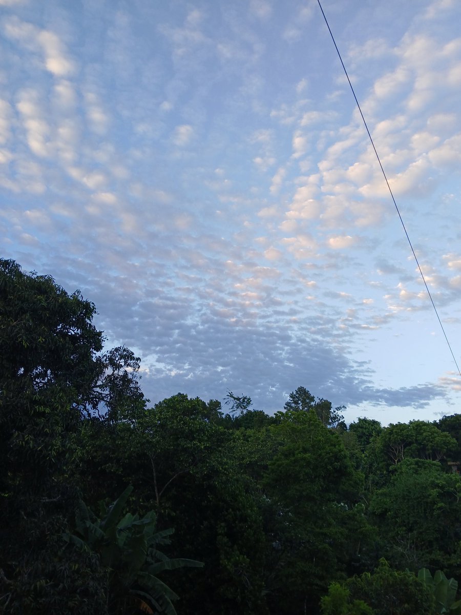 Aibonito esta encacaranublado