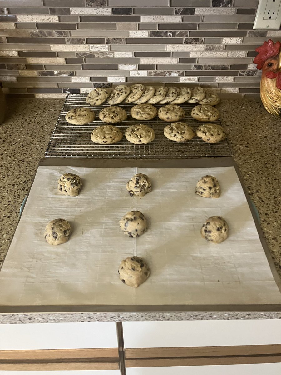 I planned on doing spring yard work today… but the cold wind and rainy skies have me baking chocolate chip cookies instead. — Sharla