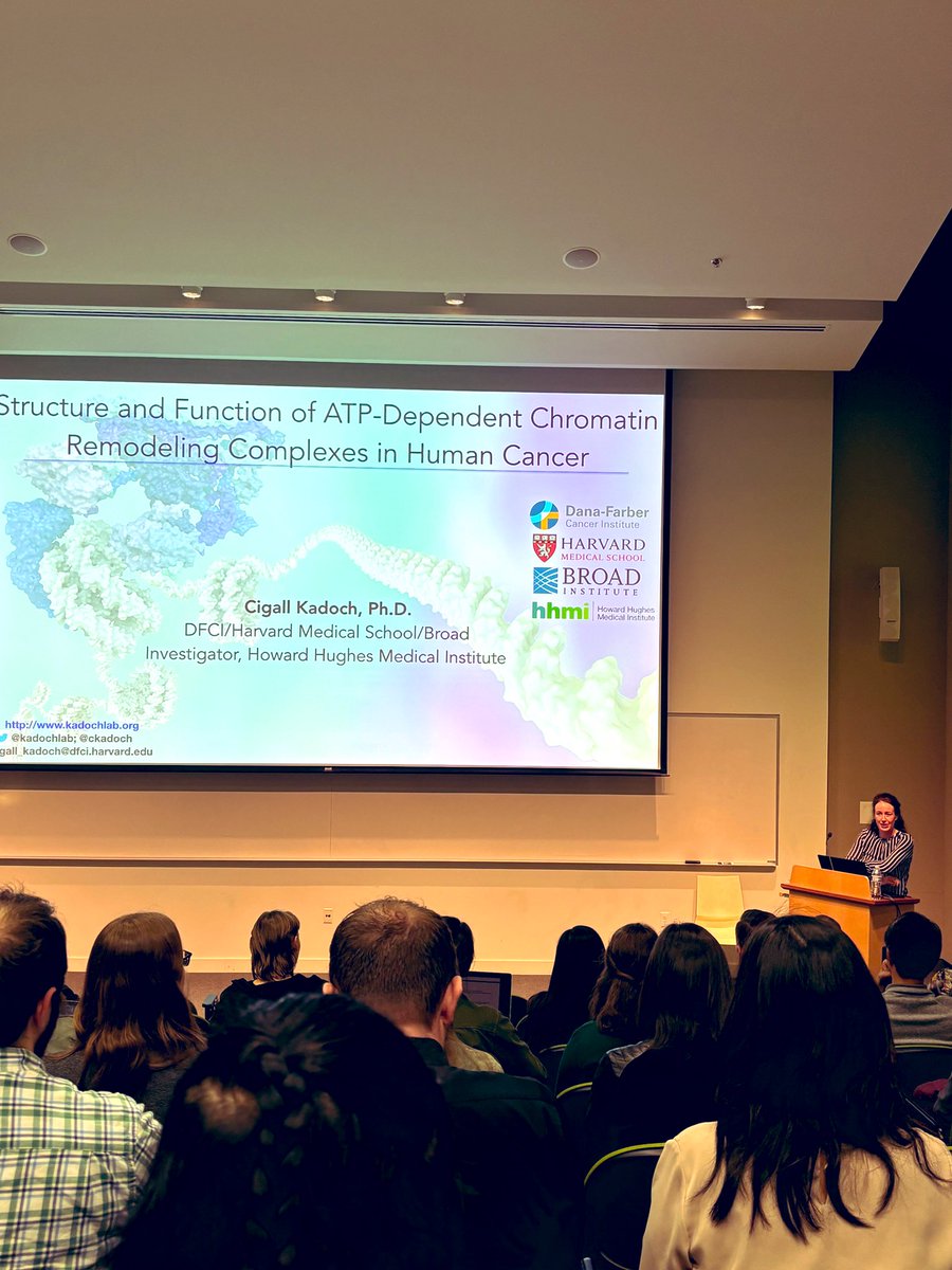 Thank you for having me speak about our @kadochlab work at the Stem Cell Symposium at the @UWISCRM this afternoon! Great to be in Seattle for the day!