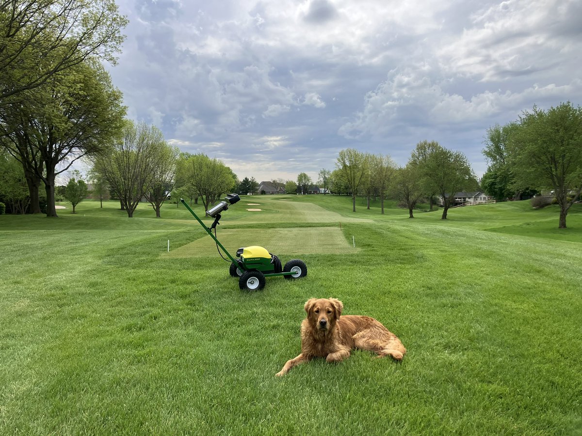 Levi Floming tweet media