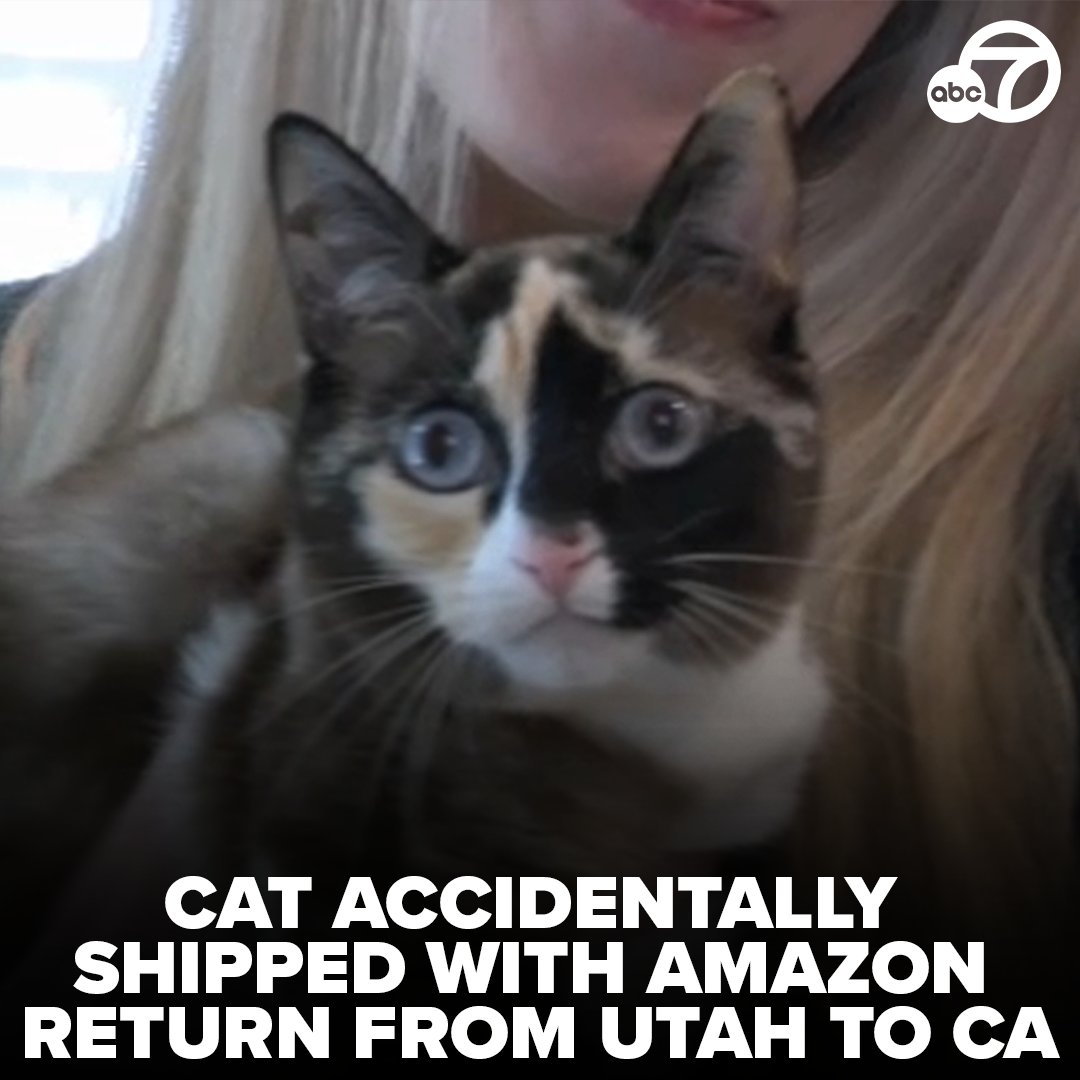 A cat was accidentally shipped with an Amazon return from Utah all the way to a facility near Riverside. 🙁🐈️📦️ The animal's owners said they had packed a box to return some shoes and took it to a drop-off location. They didn't realize their cat, Galena, was hiding inside.…