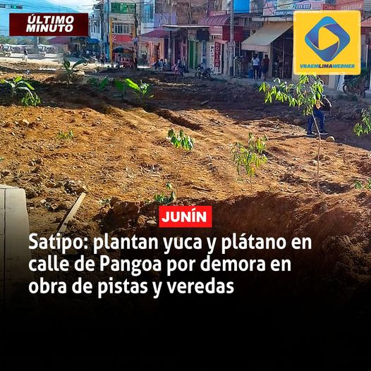 Una clara muestra de ineficiencia de gestión municipal. Toda una calle de la avenida 3 de Noviembre del dist, de Pangoa, provincia de Satipo (Junín), amaneció con plantas de yuca y plátanos, como protesta por la demora en las obras de pistas y veredas en ese distrito