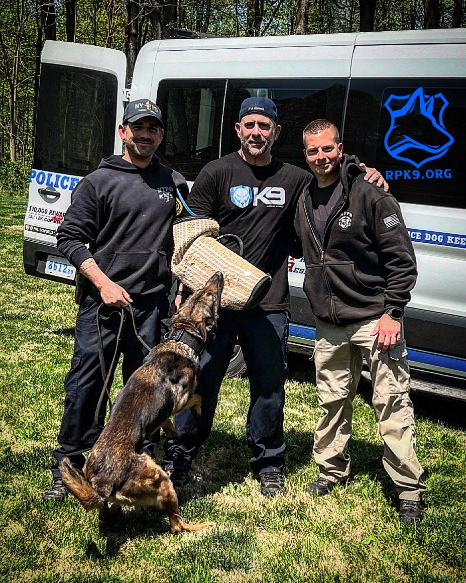 Training Thursday with the boys ! Soon @k9_gunny_ will be retired for good and K9 Chase(pictured) will be the big dawg! Decoying @nyck9zoeyandsimms and the RPK9 Northeast Advocate @dutchdarwin ! • 𝗥𝗲𝘁𝗶𝗿𝗲𝗱 𝗣𝗼𝗹𝗶𝗰𝗲 𝗖𝗮𝗻𝗶𝗻𝗲 𝗙𝗼𝘂𝗻𝗱𝗮𝘁𝗶𝗼𝗻 is a 501(c)3