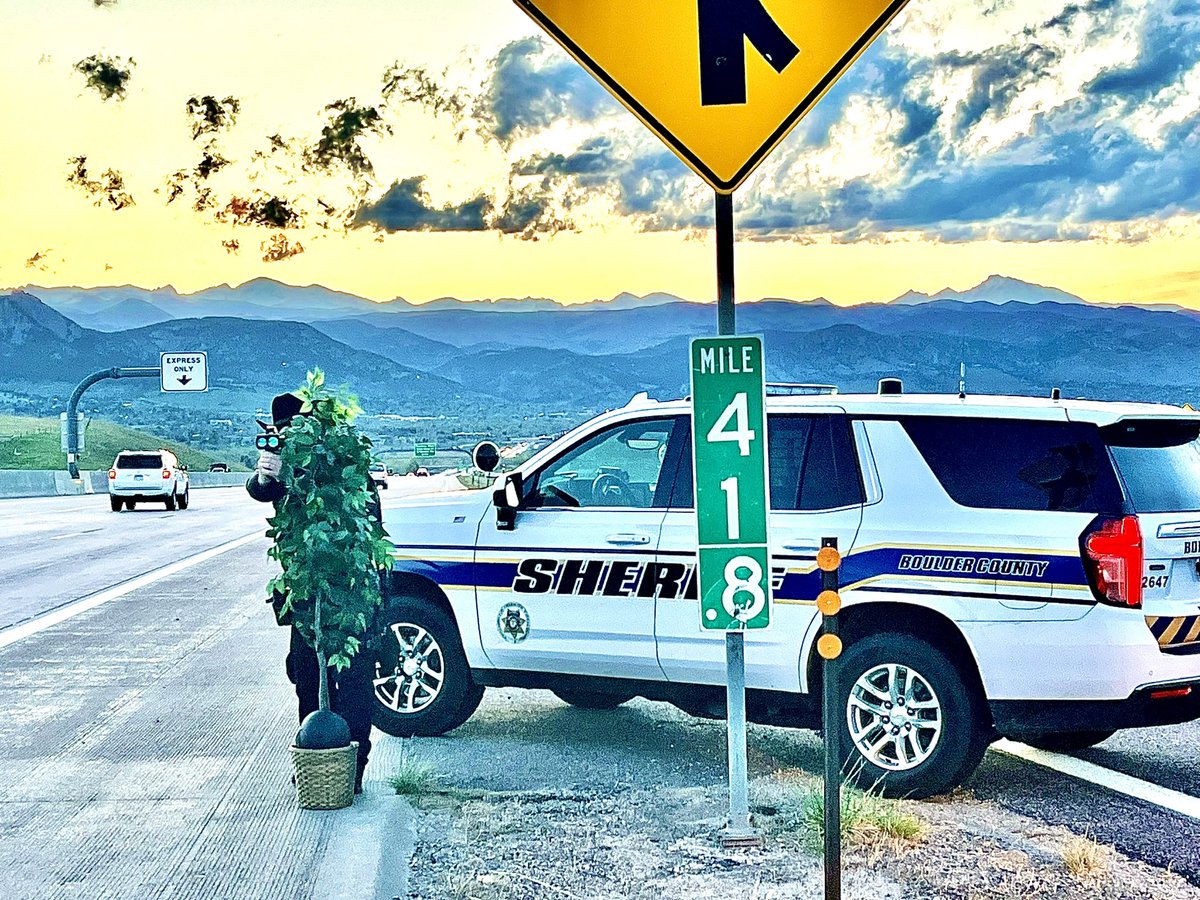 Patrol car: check. Radar: check. Effective hiding spot: not so much. Drive safely, folks, our deputies are out here, doing their best – even if that means hiding behind questionable shrubbery. #drivesafe #humor