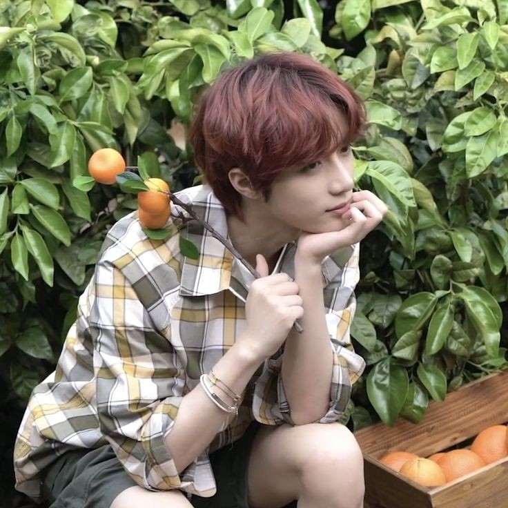 au #taegyu day 4 | jolies oreilles 🍊🧺

taehvun es un gato arisco que vive con tranquilidad en el campo, le gusta la comodidad y las mandarinas.

pero su paz se ve interrumpida cuándo descubre a un cachorro orejon robándole sus mandarinas.