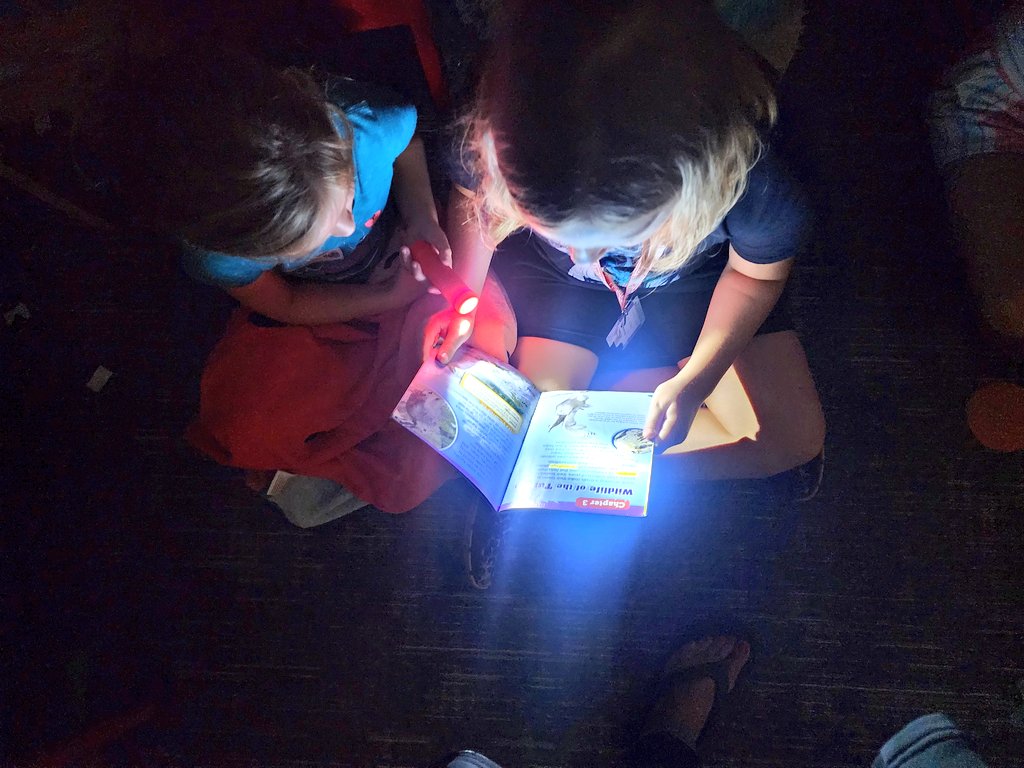 Love any chance we get to read with a friend!📚 Flashlights 🔦 &amp; tents ⛺️ just make it better!  Thanks, <a href="/KHajovsky/">Kimberly Hajovsky</a>, for letting us come in &amp; read to your firsties! 🏕#patelspeeps #fielderpride