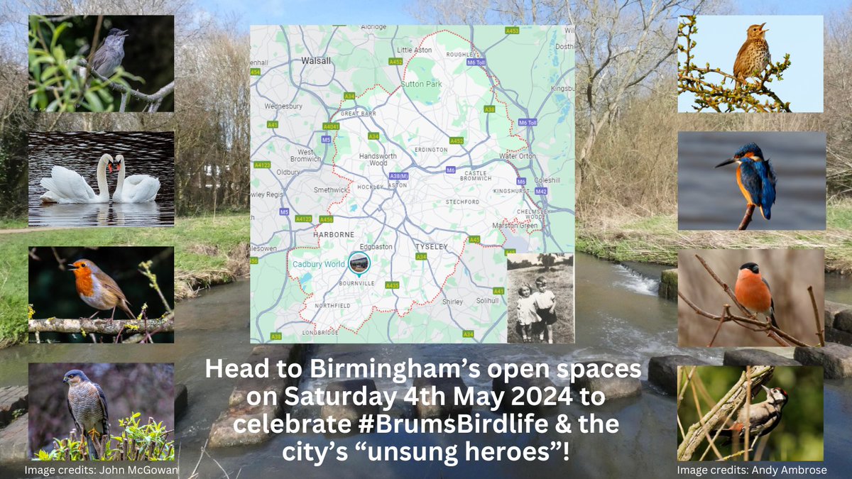 This Saturday, 4th May, let’s all celebrate Birmingham’s birds, the open spaces where they live and the “unsung heroes” that look after these special places

It’s easy to get involved and share your adventures using hashtag #BrumsBirdlife:
bosf.org.uk/birds-open-spa…
Please share 😊