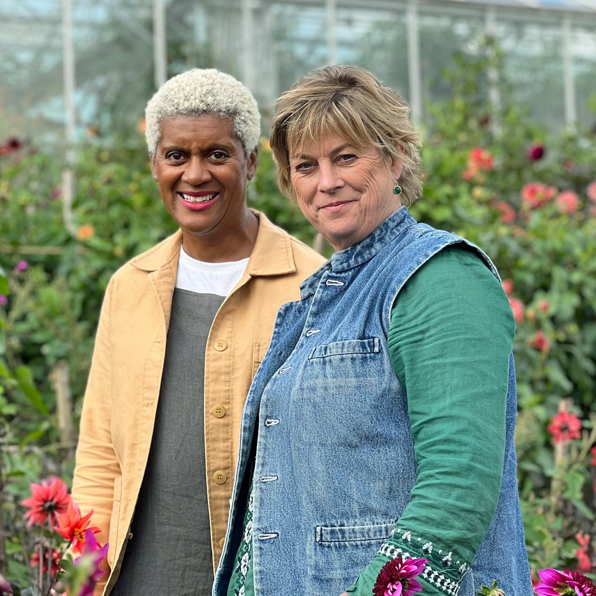 If you love dahlias as much as Sarah Raven, then Arit's visit to Perch Hill Farm is a must-watch this week! Tune in on Friday at 9pm on BBC Two to find out more 😎 ✂️ #DahliaLove #GardenersWorld #CutFlowers #FlowersOnFriday