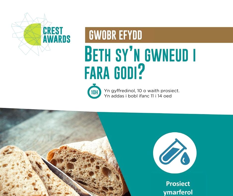 Are you a teacher in Wales? Did you know that the Welsh Government funds #CRESTAwards in Welsh schools? 🔬 Why not try out the 'Beth Sy'n Gwneud I Fara Godi' project with your students to test what makes bread rise. 🍞🥖 Check it out here: secondarylibrary.crestawards.org/beth-syn-gwneu…